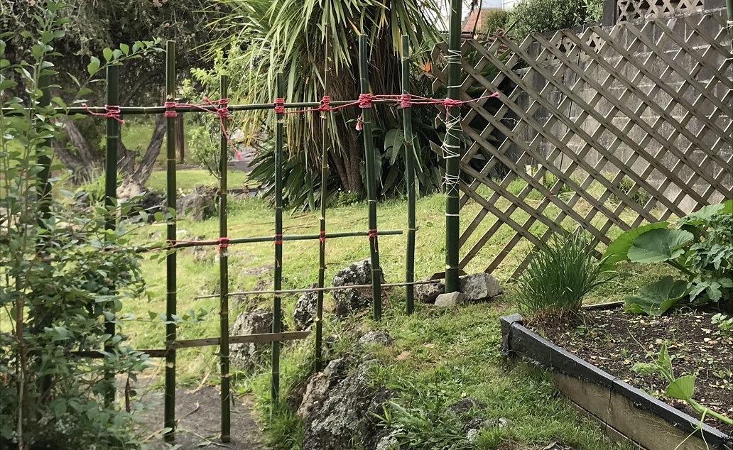 bamboo fence