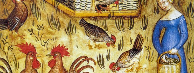 medieval chicken coop