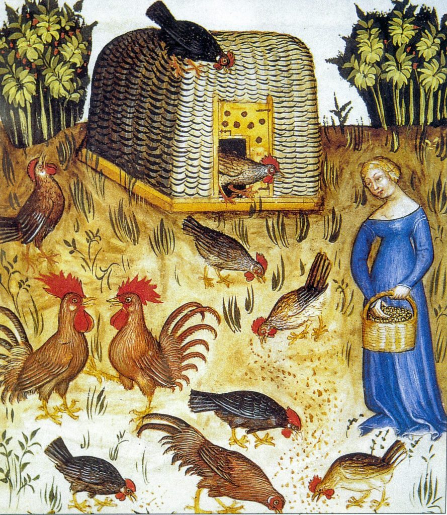 medieval chicken coop